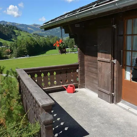 Arduus Apartment Gstaad