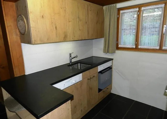 Arduus By Interhome Lejlighed Gstaad